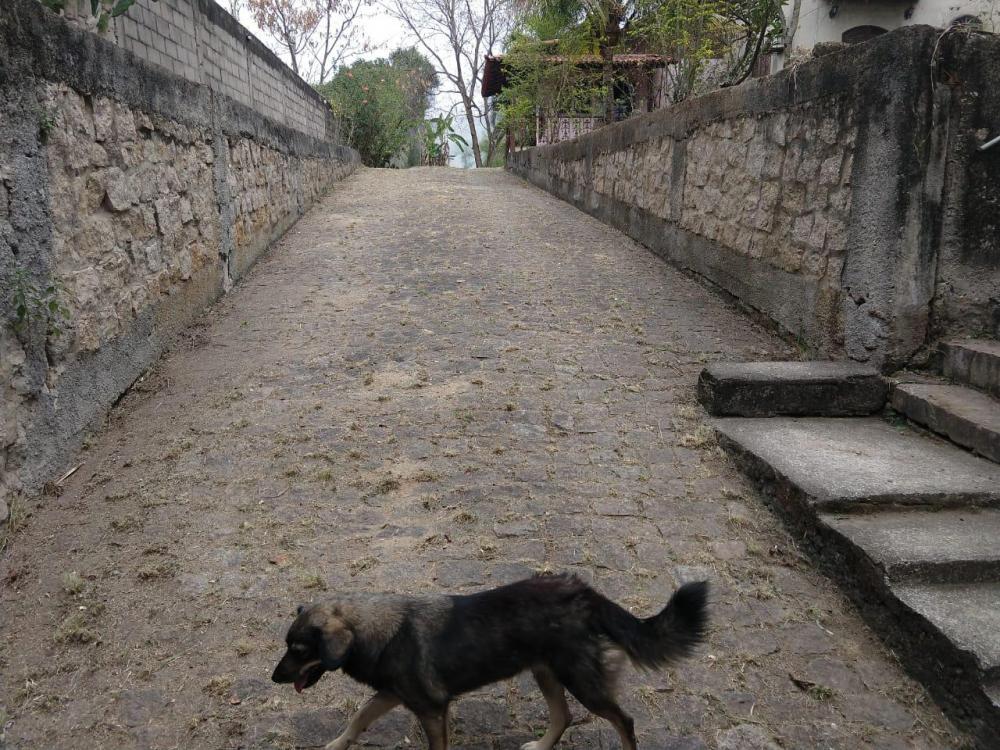 Terreno à venda, 2000m² - Foto 12