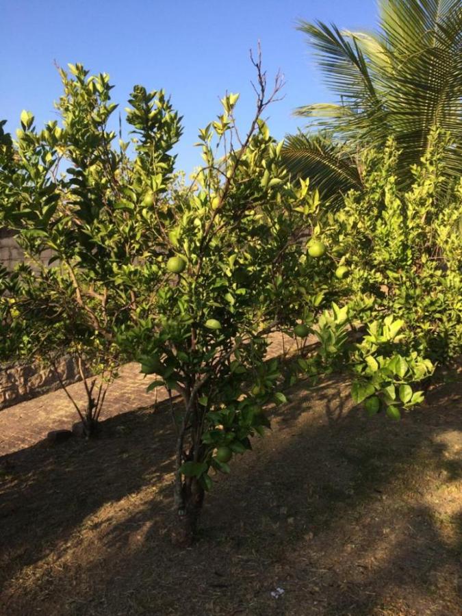 Terreno à venda, 2000m² - Foto 23