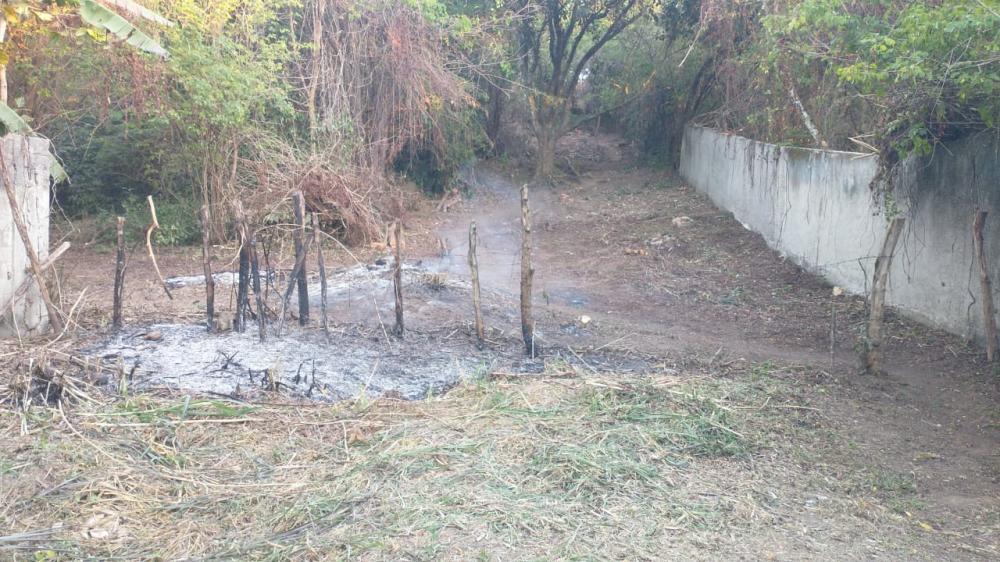 Terreno à venda, 3100m² - Foto 5