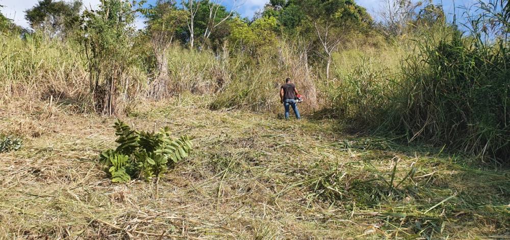 Terreno à venda, 3100m² - Foto 13