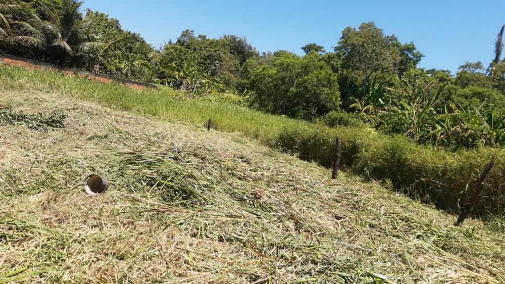 Terreno à venda, 3100m² - Foto 14