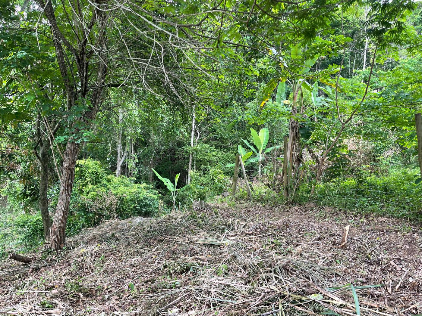 Terreno à venda, 2000m² - Foto 11