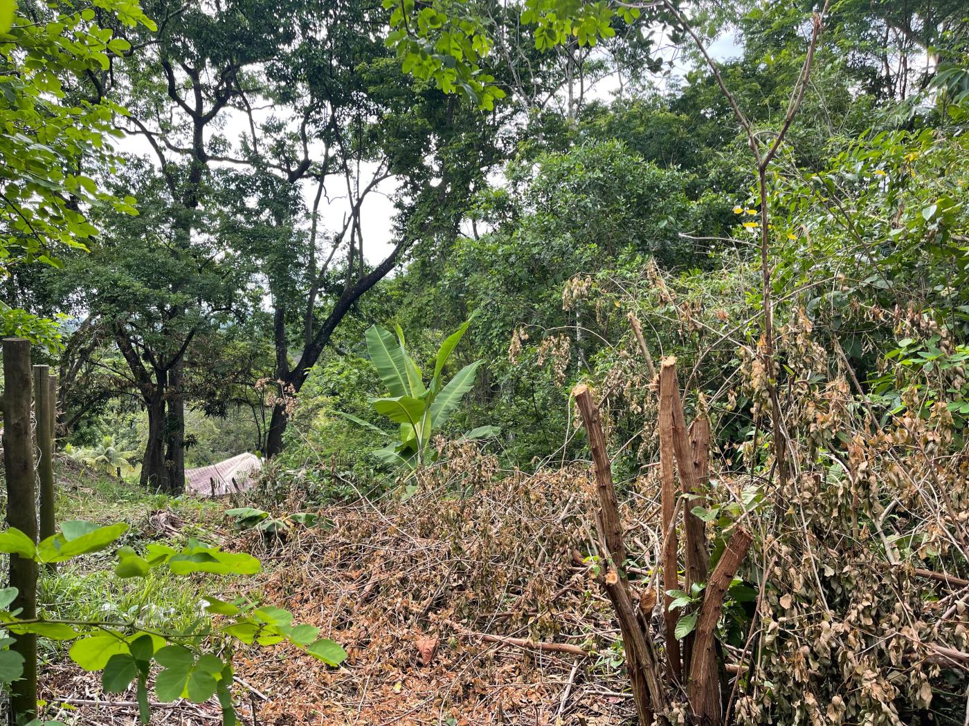 Terreno à venda, 2000m² - Foto 12