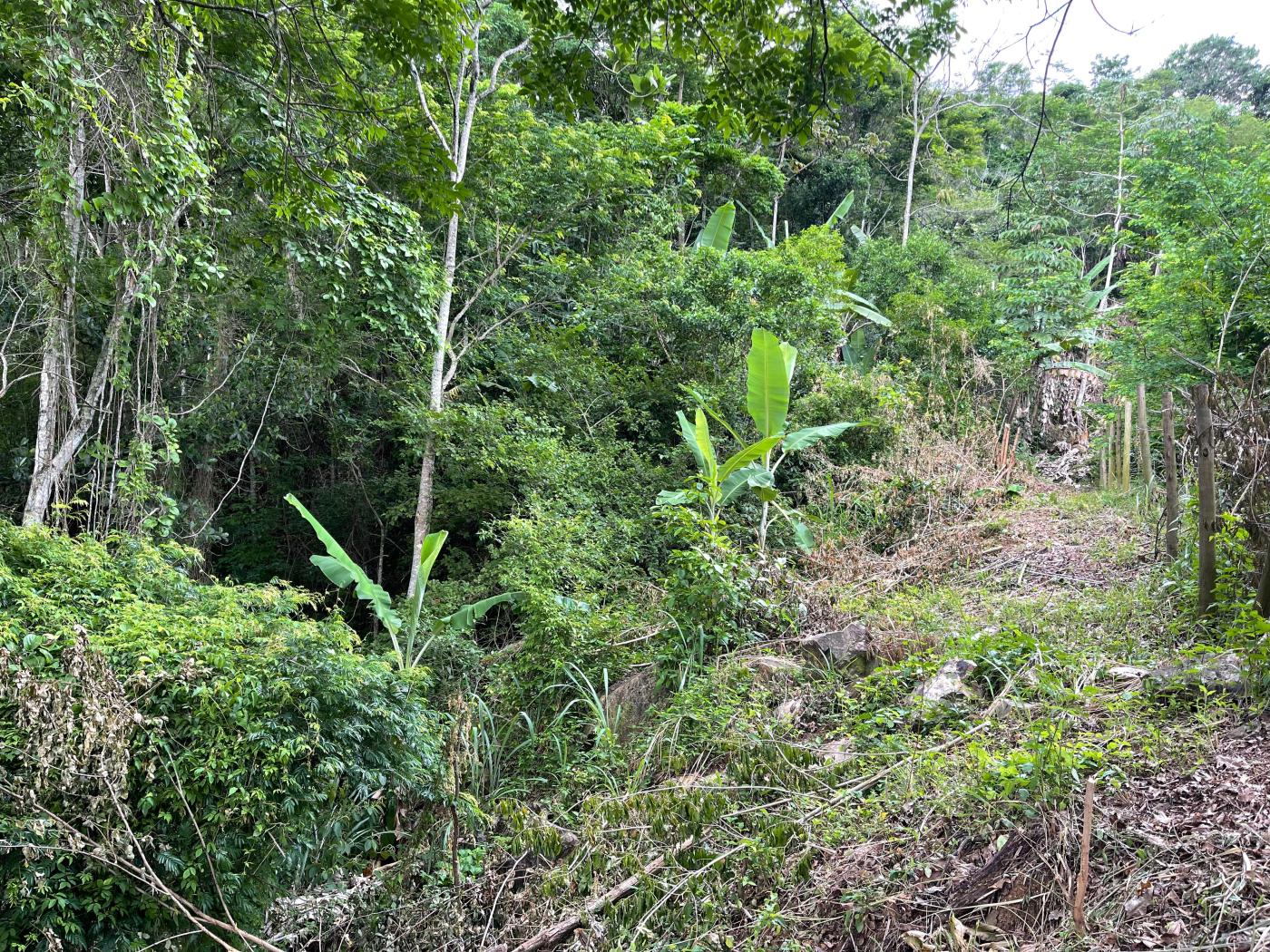 Terreno à venda, 2000m² - Foto 15