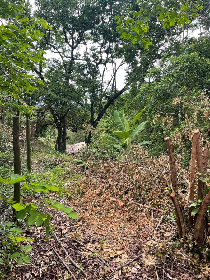 Chácara à venda, 2000m² - Foto 13